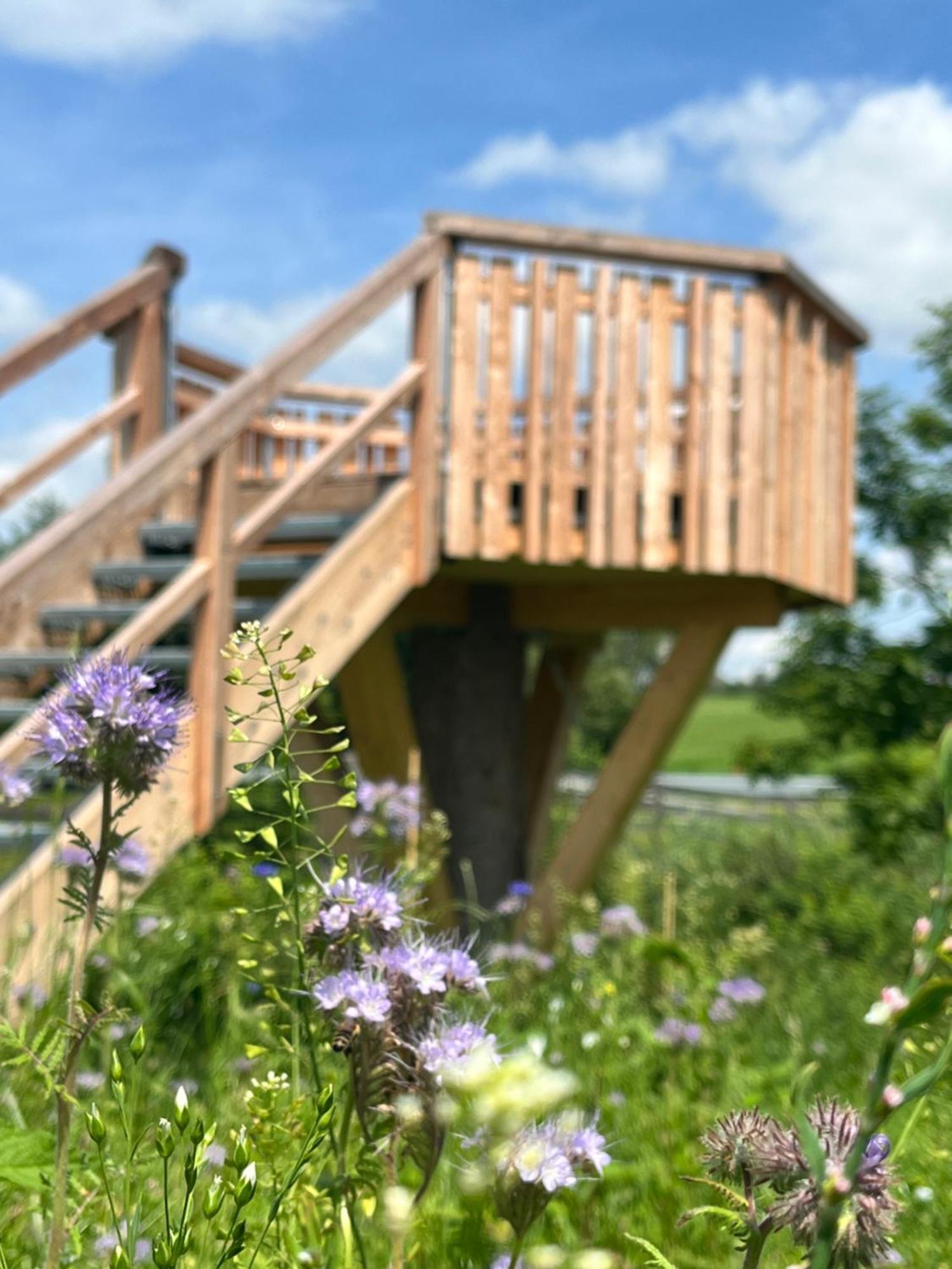 Hotel Wald Ist Zukunft Bernbeuren Exteriér fotografie