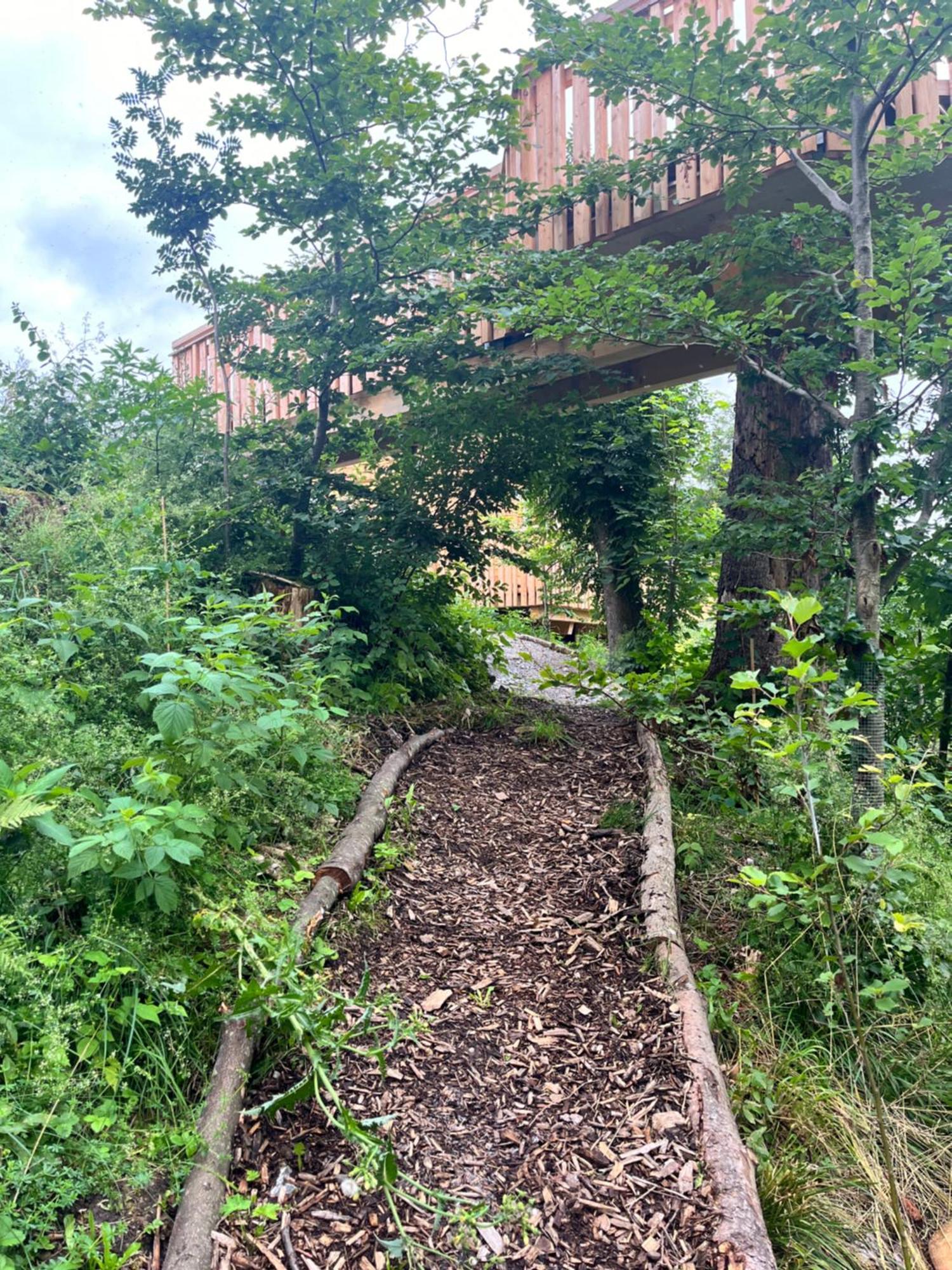 Hotel Wald Ist Zukunft Bernbeuren Exteriér fotografie
