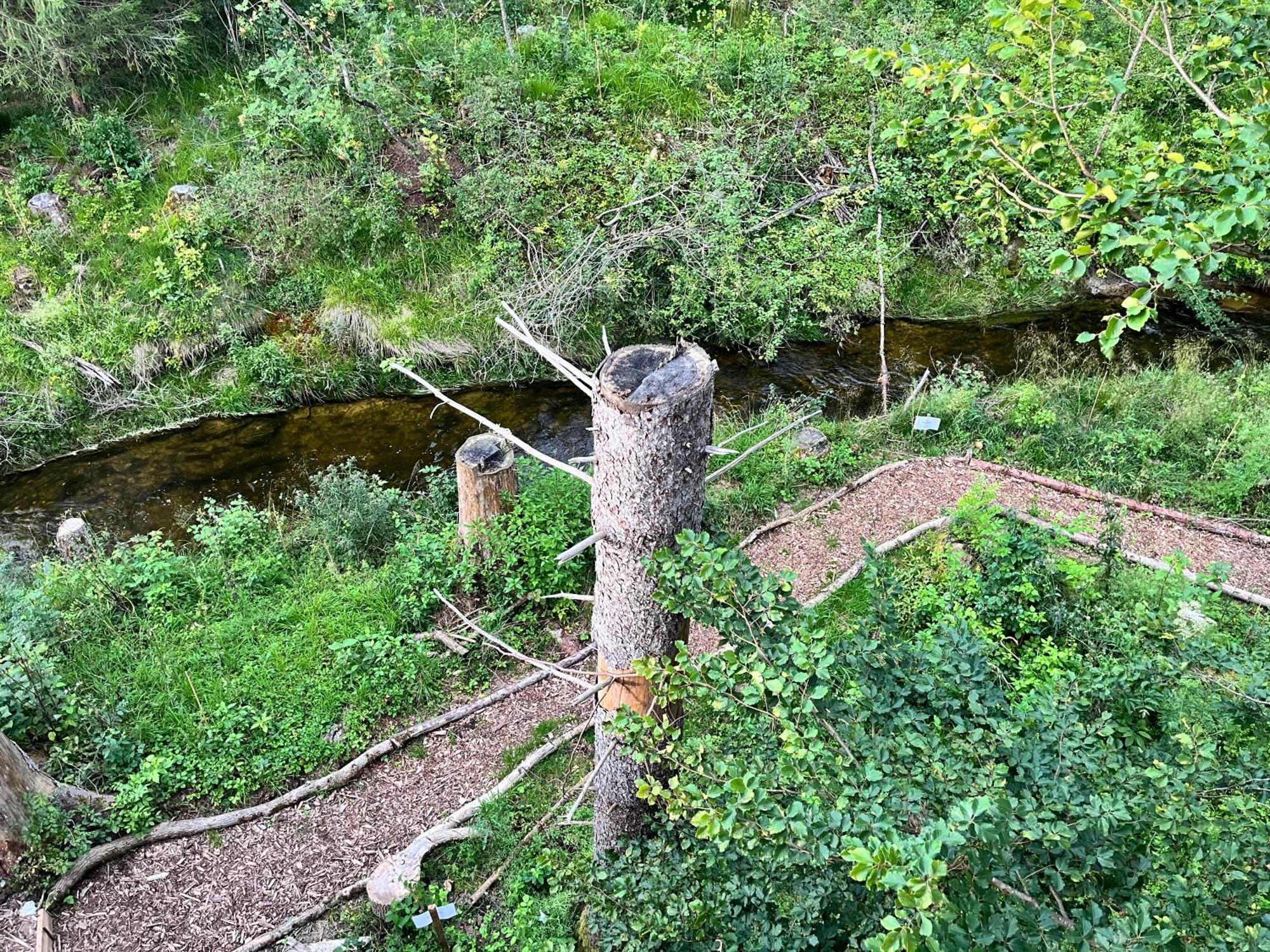 Hotel Wald Ist Zukunft Bernbeuren Exteriér fotografie