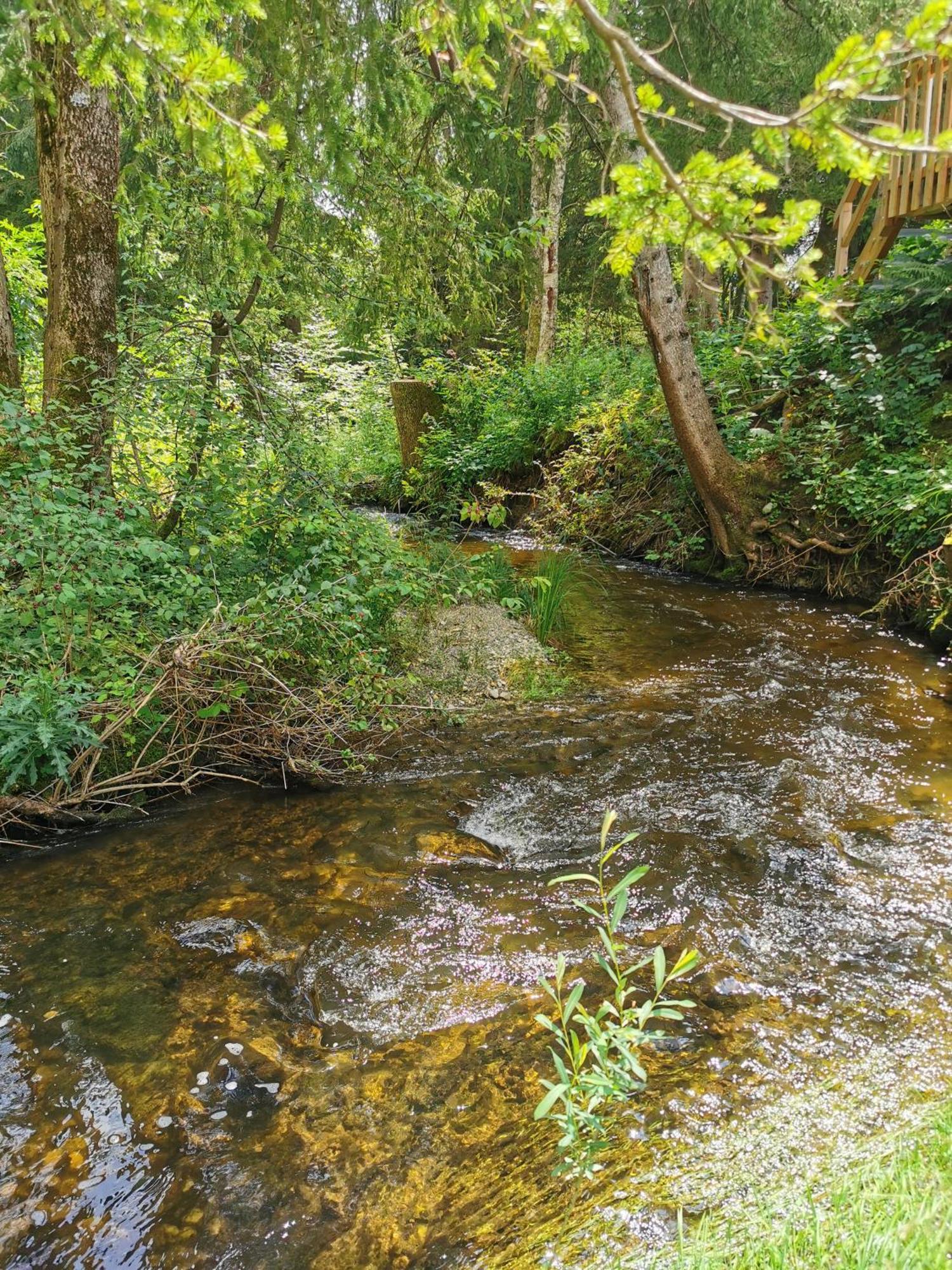 Hotel Wald Ist Zukunft Bernbeuren Exteriér fotografie