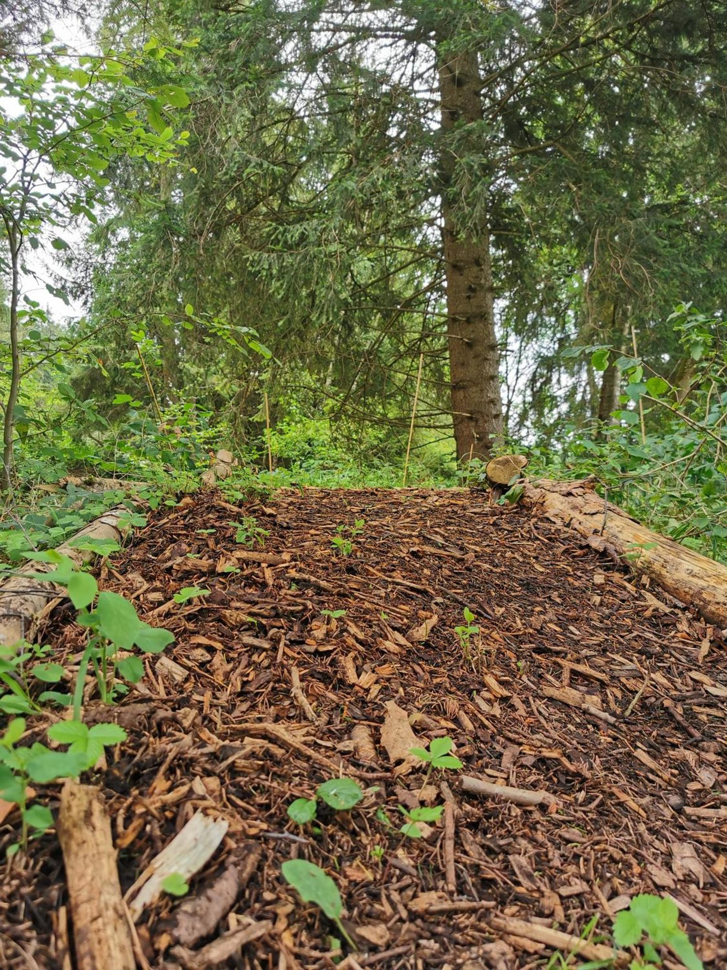 Hotel Wald Ist Zukunft Bernbeuren Exteriér fotografie
