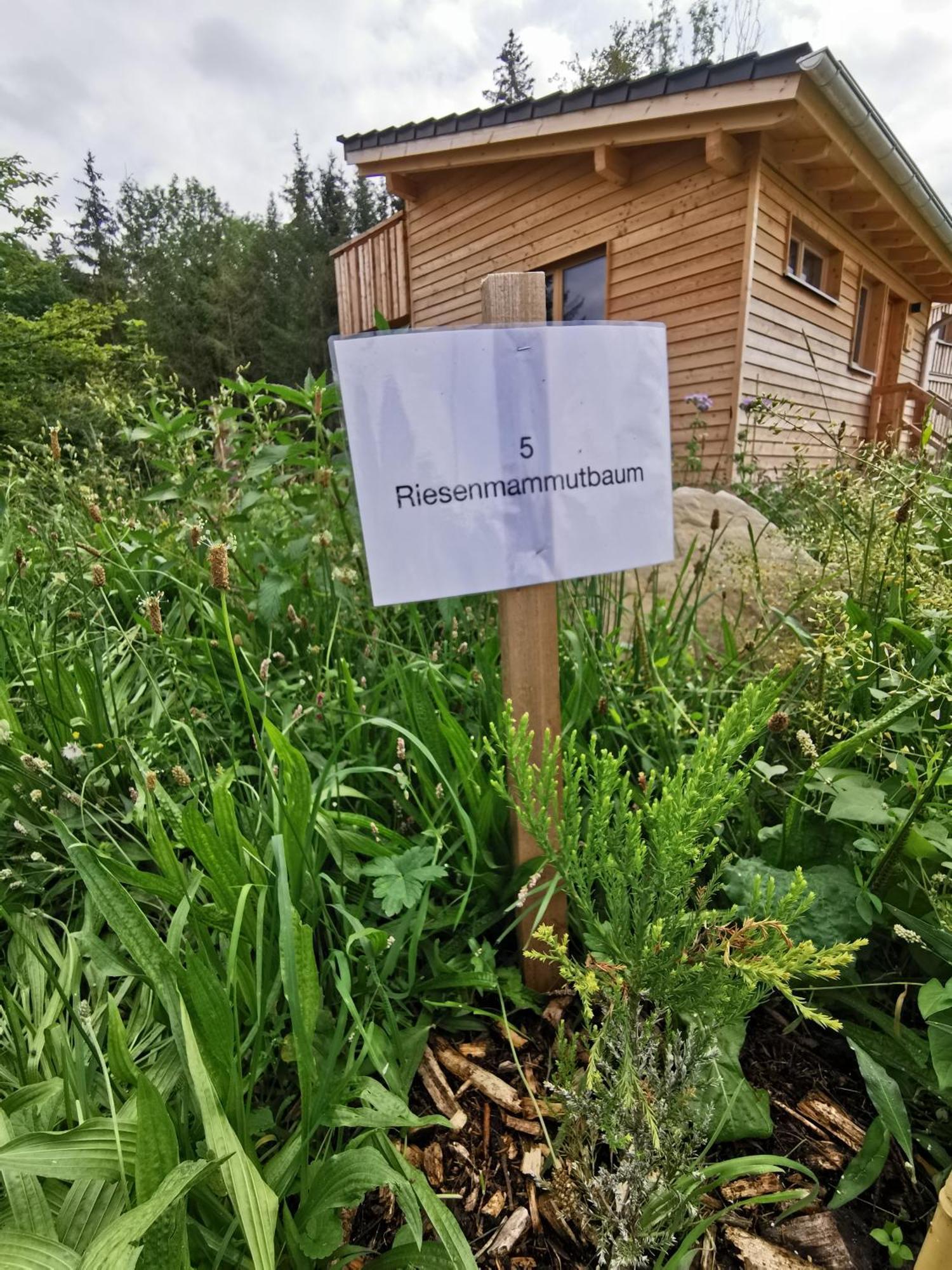 Hotel Wald Ist Zukunft Bernbeuren Exteriér fotografie