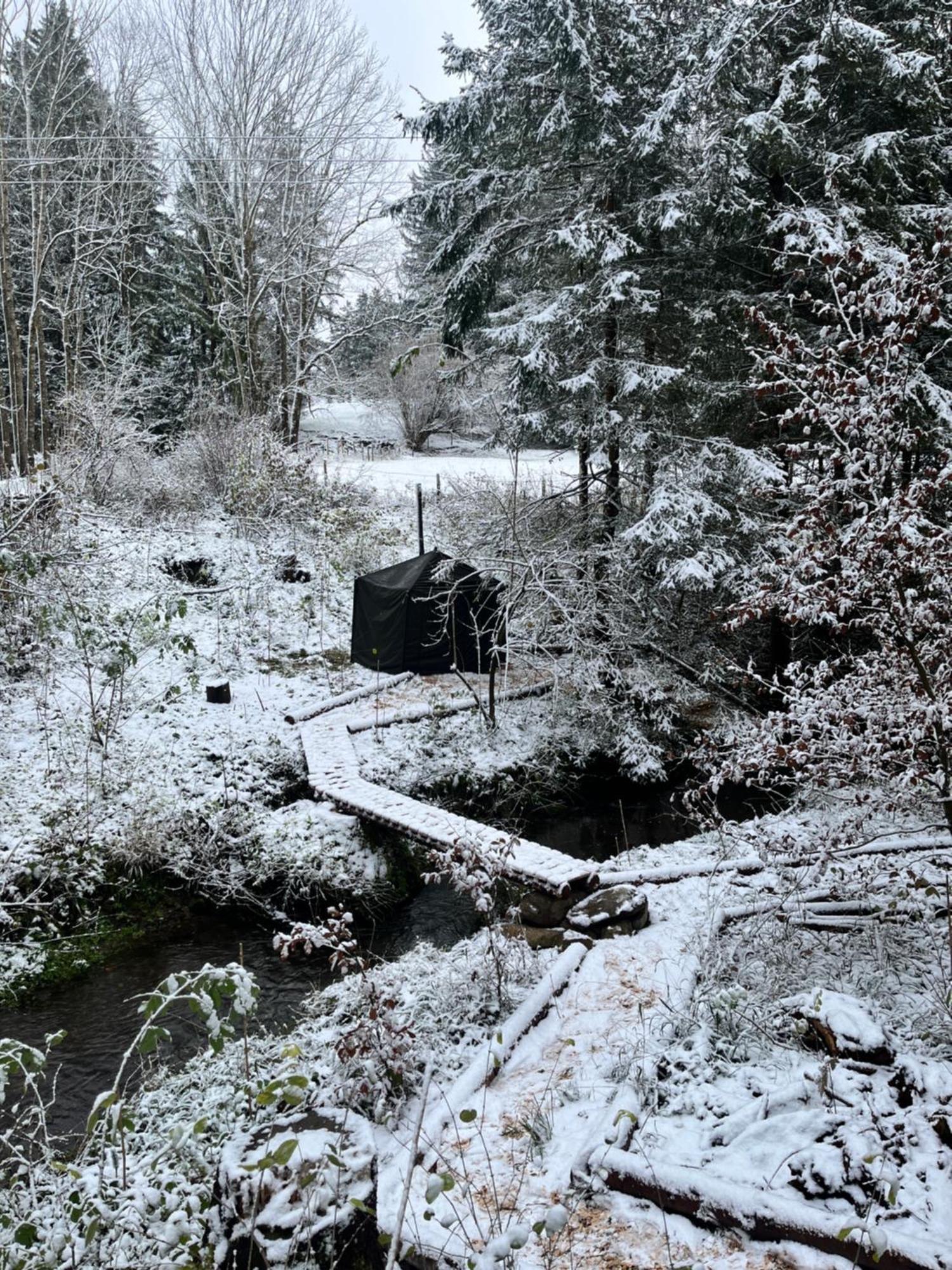 Hotel Wald Ist Zukunft Bernbeuren Exteriér fotografie