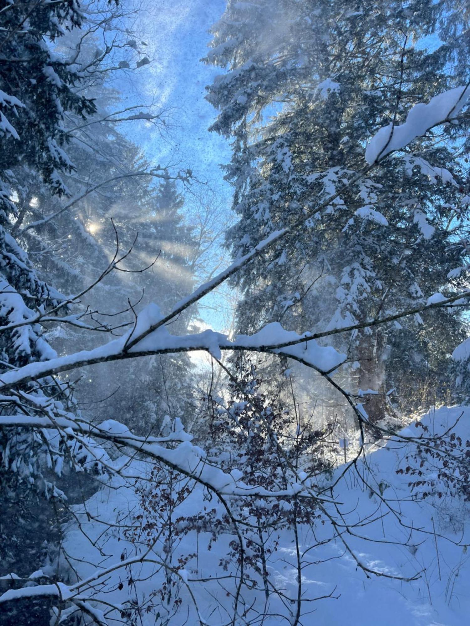 Hotel Wald Ist Zukunft Bernbeuren Exteriér fotografie